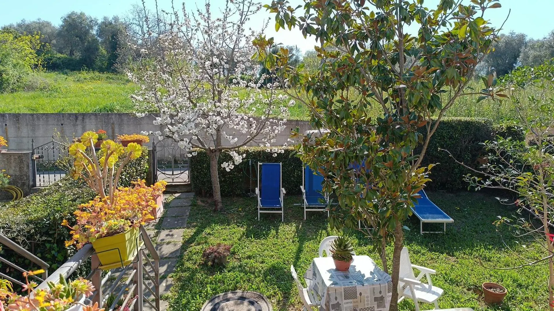 B & V Home E Restaurant Home Montemerano Italia